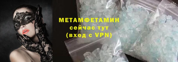прущие грибы Аркадак