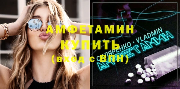 прущие грибы Аркадак