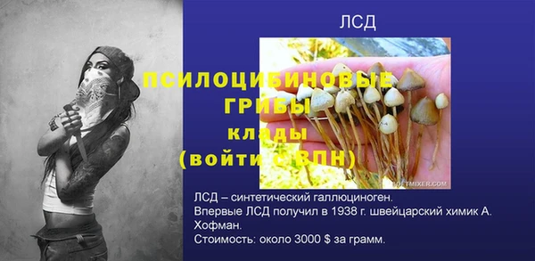 прущие грибы Аркадак