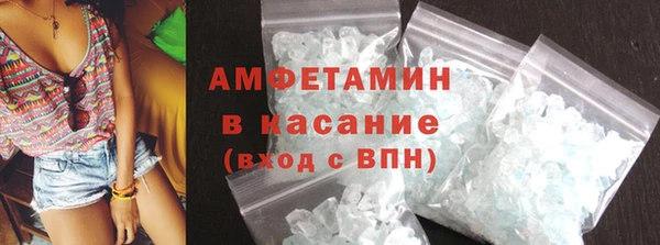 прущие грибы Аркадак