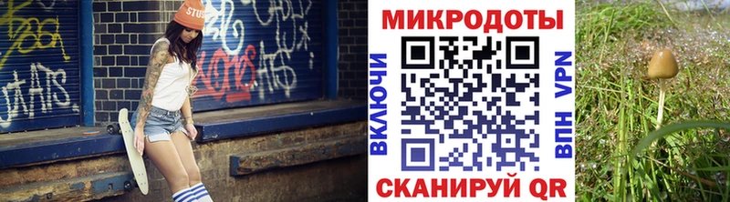 Галлюциногенные грибы GOLDEN TEACHER  blacksprut ССЫЛКА  Бабушкин  цены наркотик 